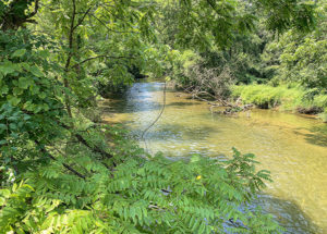 River at the hiking trail at Gunpowder Falls State Park in Baltimore County, Maryland, in July 2019.