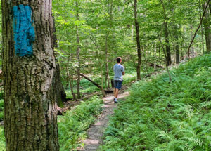 Hiking trail at Gunpowder Falls State Park in Baltimore County, Maryland, in July 2019.