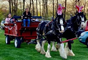 Lisa Steiner with Lucy and Angus 